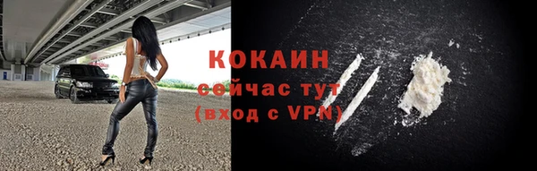 прущие грибы Белокуриха