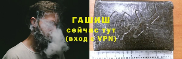 прущие грибы Белокуриха