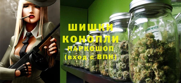 прущие грибы Белокуриха