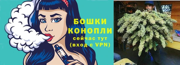 спайс Богородск